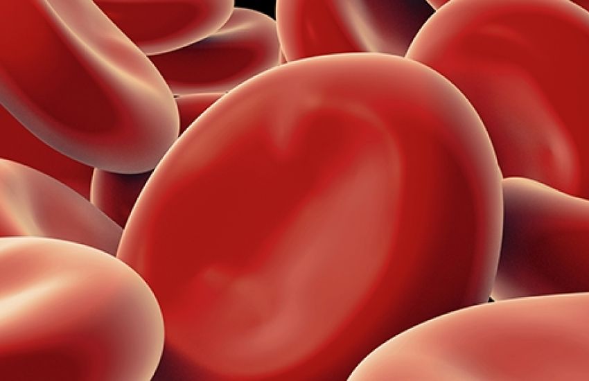 Anvisa aprova novo tratamento para hemofilia B 