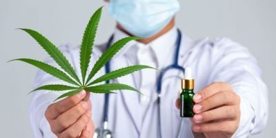 Mitos sobre cannabis medicinal persistem no Brasil mesmo com avanço de pacientes e prescrições