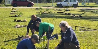 Executivo de Tapes faz parcerias para reforçar arborização no município