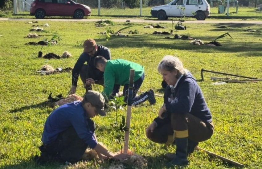 Executivo de Tapes faz parcerias para reforçar arborização no município 