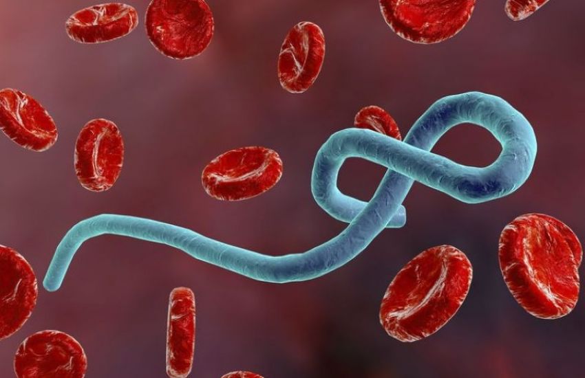 São Paulo investiga caso suspeito de ebola em homem de 37 anos 