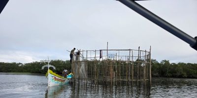 Pescadoras da Barra de Pelotas realizam intercâmbio com comunidades tradicionais de SP