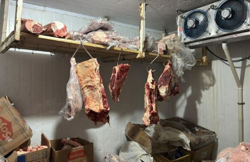 Força-Tarefa apreende 2,2 toneladas de produtos impróprios no Norte do RS 