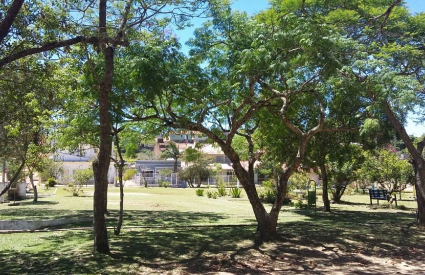 Árvores serão arrancadas na Praça do Floresta para construção de uma quadra de futebol, em Camaquã 