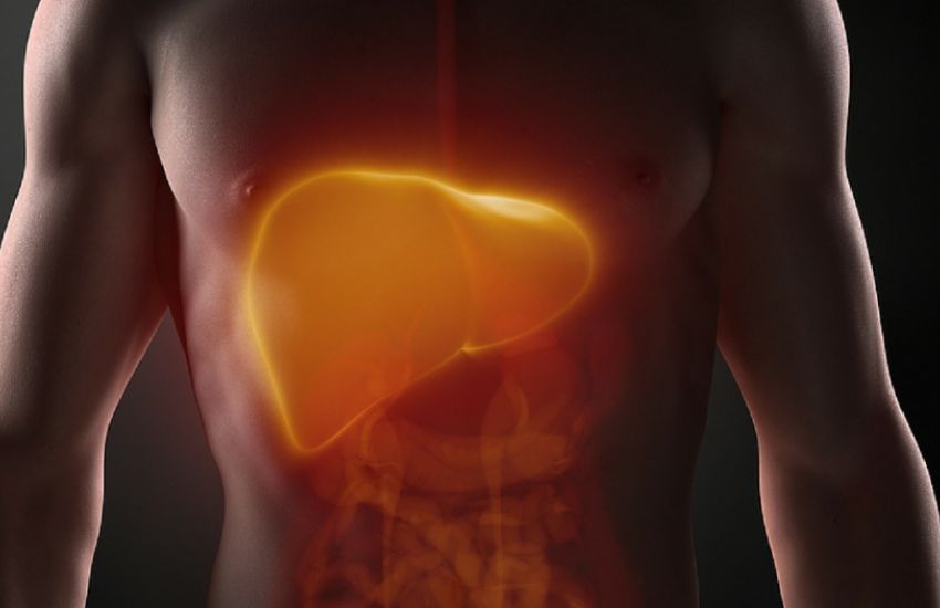 Doença que afeta o fígado pode causar obesidade  