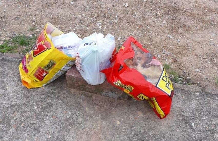 Morador da Travessa Ery Cardoso Farias, em Camaquã, reclama sobre a falta de recolhimento de lixo reciclável 