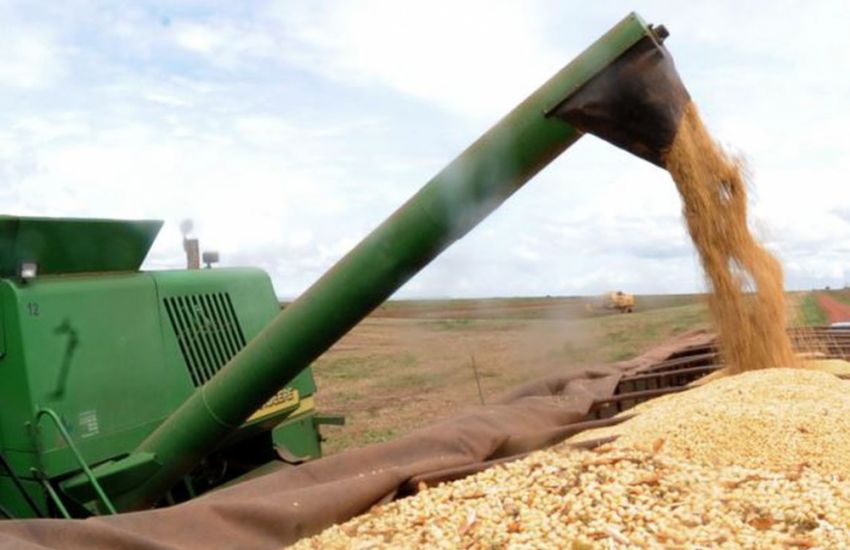 IBGE eleva estimativa da safra de grãos para 2019 