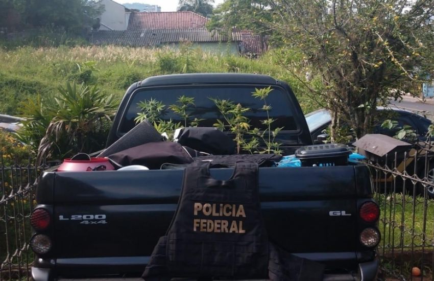 Polícia Federal encontra estufa de maconha durante operação 