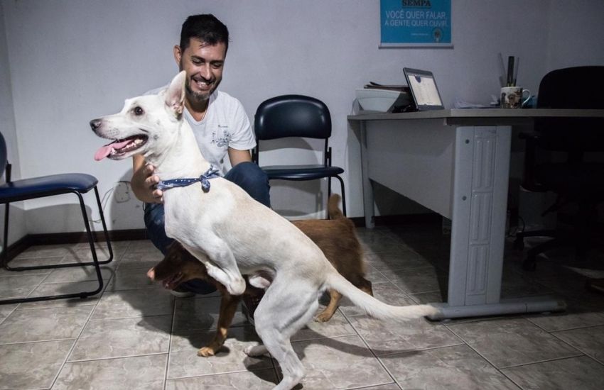 Cachorro com deficiência abandonado em São Leopoldo tem 20 interessados na adoção 