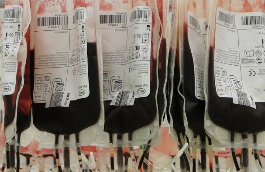 Para evitar aglomeração, doações de sangue devem ser agendadas 