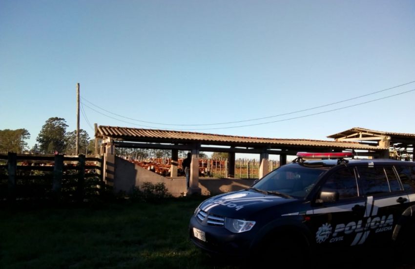 Decrab Camaquã esclarece ocorrência de furto abigeato em uma propriedade rural em Arambaré 