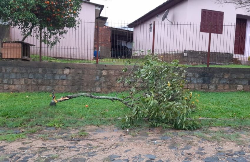 Ventos fortes e chuva causam estragos em Camaquã 