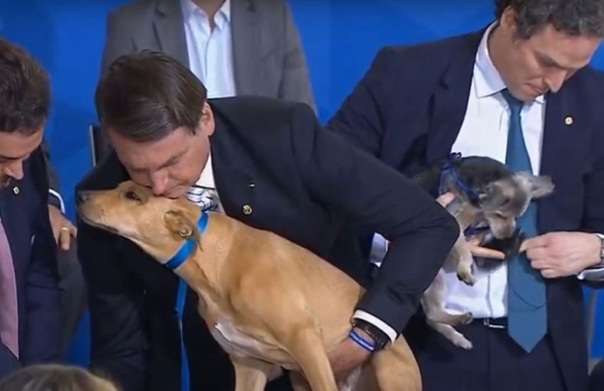 Bolsonaro sanciona lei com pena maior para maus-tratos contra cães ou gatos 