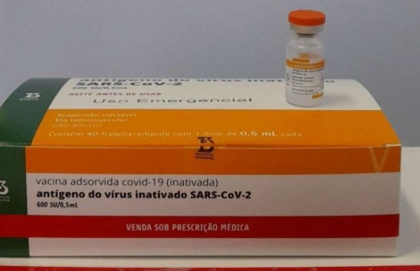 Covid-19: Anvisa aprova segundo lote da vacina CoronaVac 