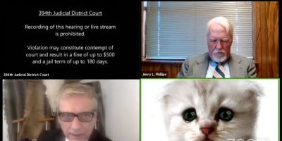 Advogado entra em videoconferência de julgamento com filtro de gatinho