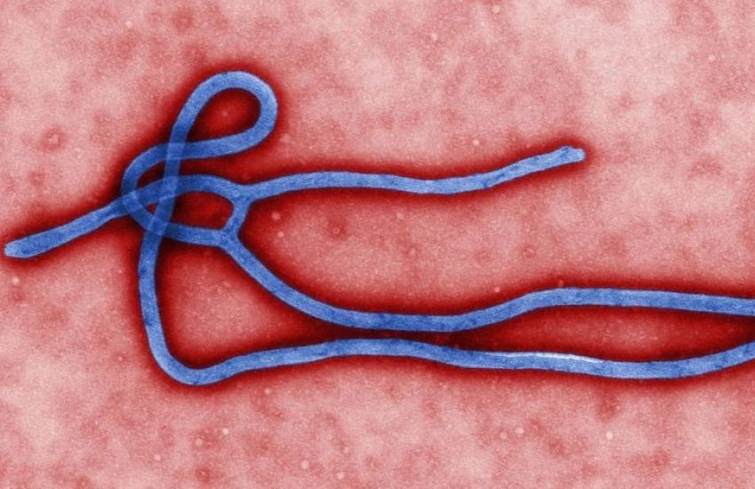 Guiné declara novo surto de ebola 