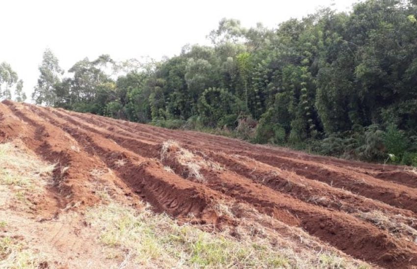 Projeto cria linha de crédito para descendente de agricultor familiar comprar terra 