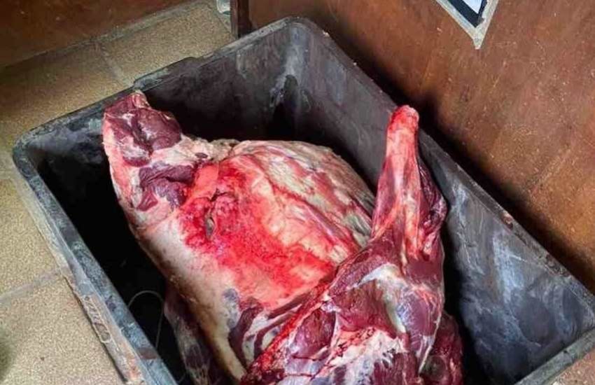Operação contra abate clandestino de gado é realizada em Barão do Triunfo 