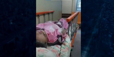 Neta denuncia caso de avó de 97 anos agredida pela própria filha no DF 