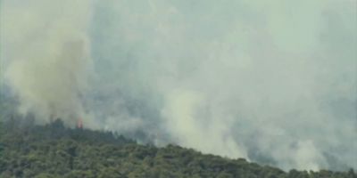 Centenas de bombeiros combatem incêndio florestal na Grécia