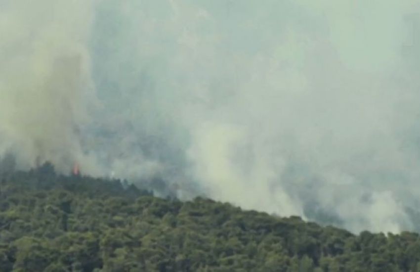 Centenas de bombeiros combatem incêndio florestal na Grécia 