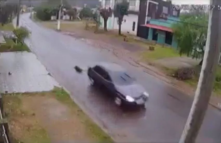 Cachorro morre após ser arrastado por carro em cidade gaúcha 