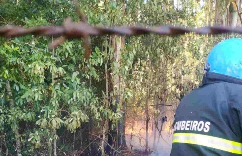 Ocorrências de incêndio aumentam na região de Camaquã 