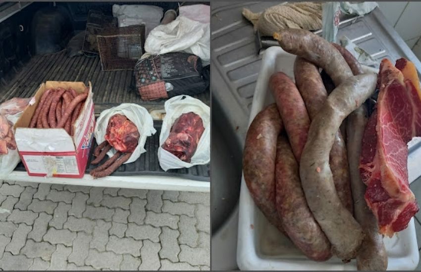 Mais de 2 toneladas de carnes impróprias para o consumo são apreendidas na Região Sul do RS 