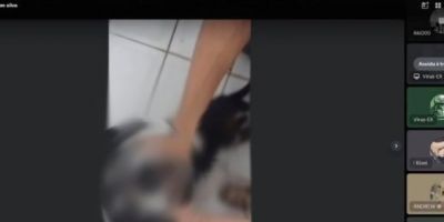 CRUELDADE: adolescente tortura e mata cachorro durante vídeo ao vivo no RS