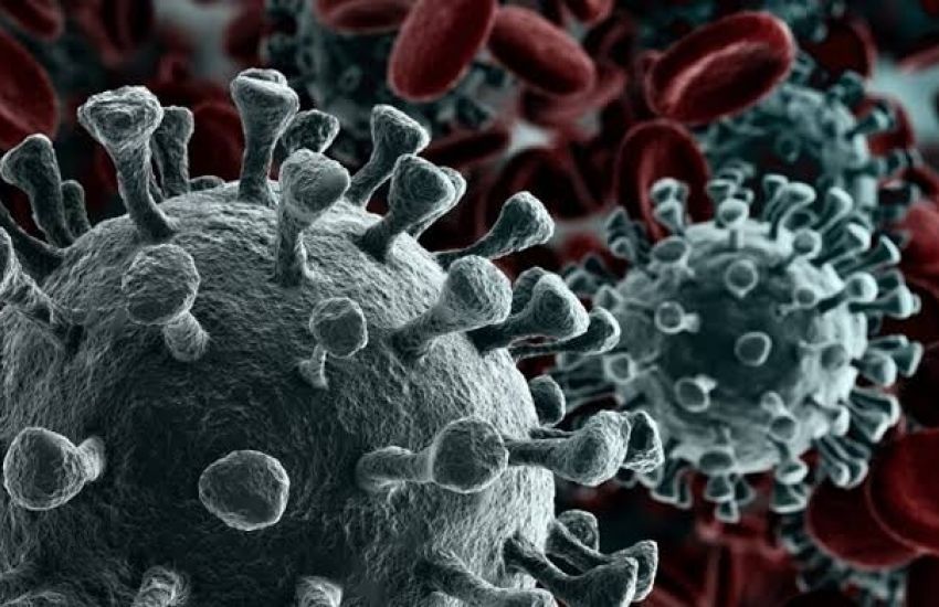 França identifica nova variante do coronavírus com mais de 40 mutações 