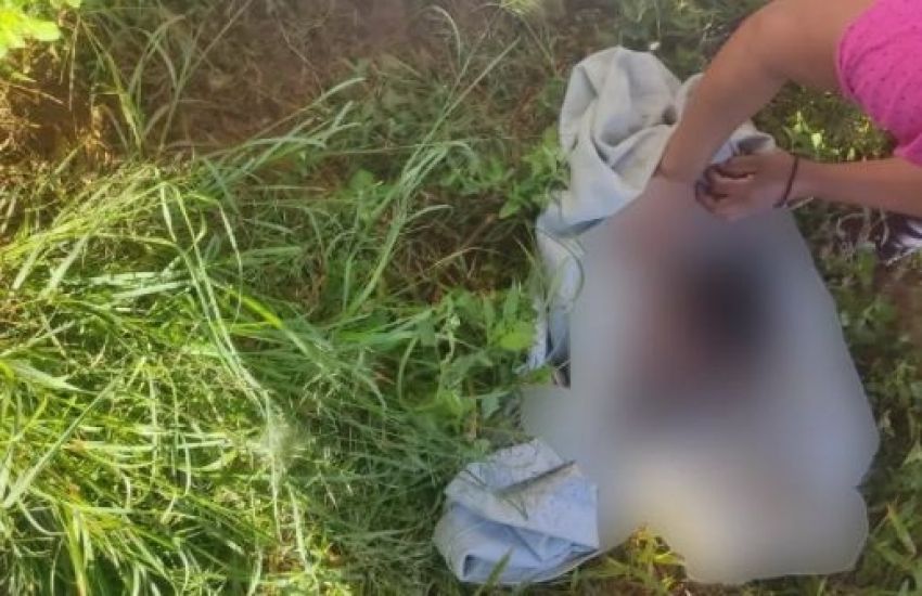 Polícia Civil investiga caso de recém-nascida encontrada dentro de latrina no RS 