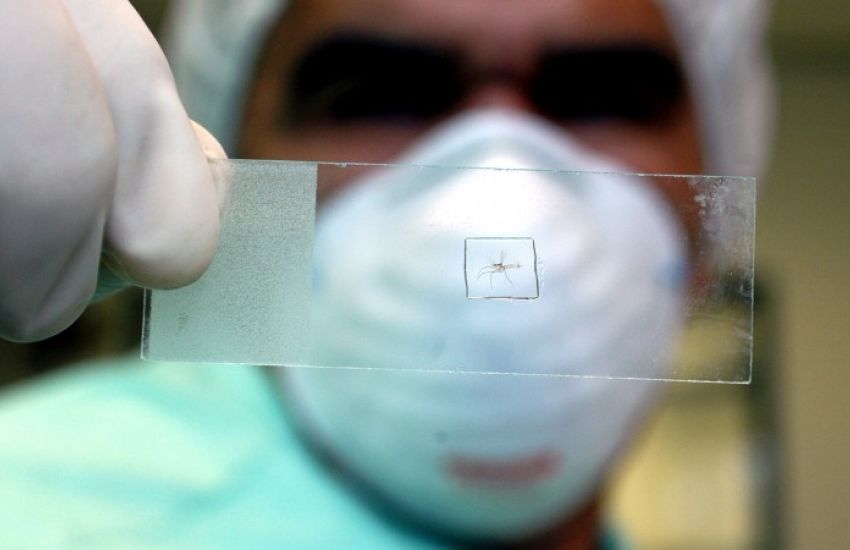 URGENTE: SES confirma mais 11 mortes por dengue no RS 