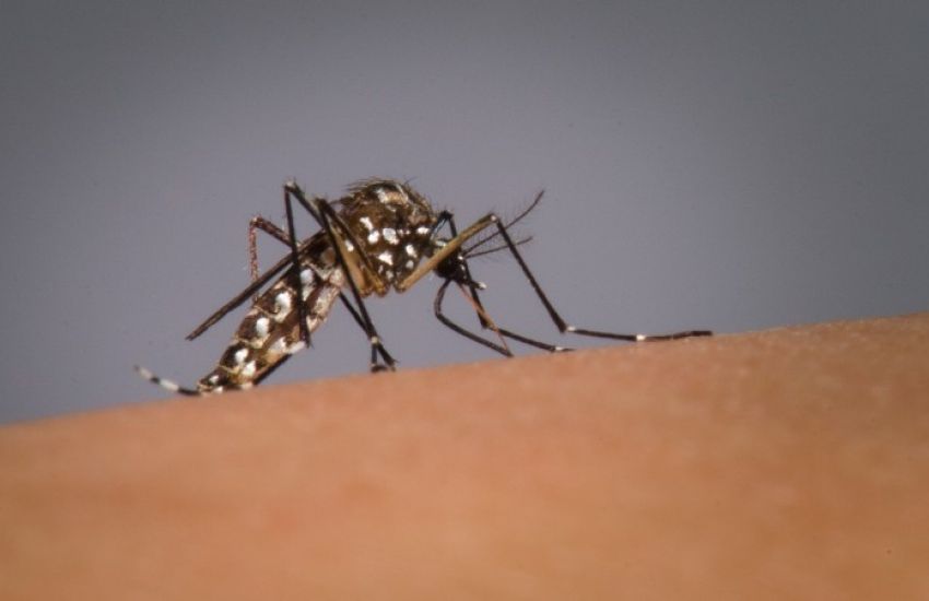 RS confirma 27º óbito por dengue nesta sexta 