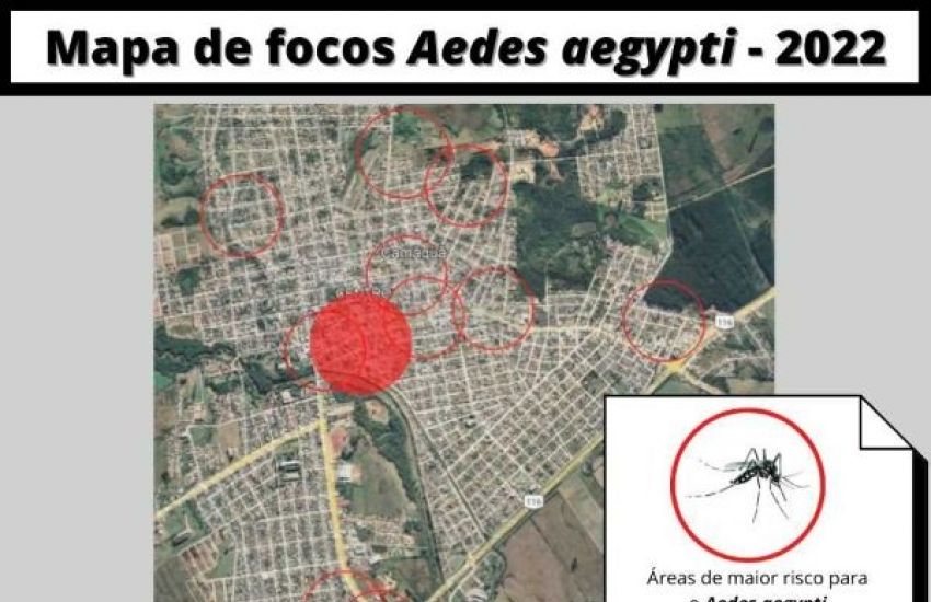 Camaquã atinge 37 focos do Aedes aegypti somente neste ano 