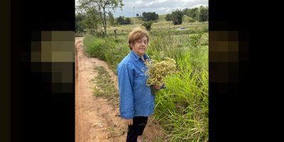 OBITUÁRIO: Nota de Falecimento de Helia Schmeiscki Pereira, de 75 anos