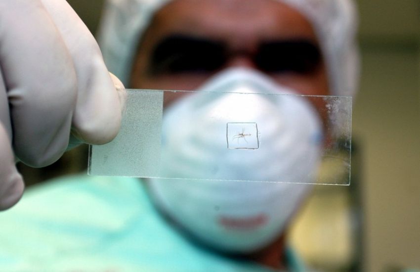 RS chega a 59 mortos por dengue em 2022 