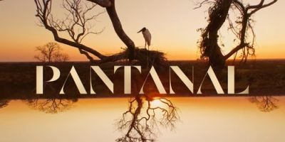 Pantanal: confira resumo dos capítulos de 4 a 9 de julho