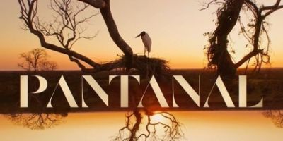 Pantanal: confira resumo dos capítulos de 1º a 6 de agosto