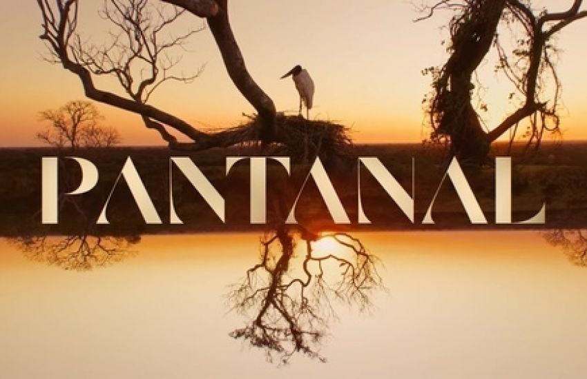 Leia o resumo dos últimos capítulos de Pantanal 