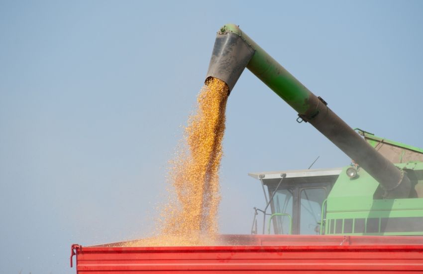 Conab prevê novo recorde na produção de grãos em 312,4 milhões de toneladas na safra 2022/23 