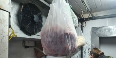 Operação do MP apreende 900 kg de alimentos impróprios para o consumo no Sul do RS