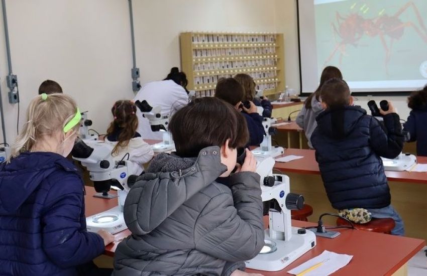 Estudantes de escola lourenciana participam de oficina sobre insetos na FURG SLS 
