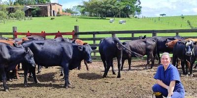 Programa de melhoramento genético qualifica manejo de rebanhos bovinos em Cristal     