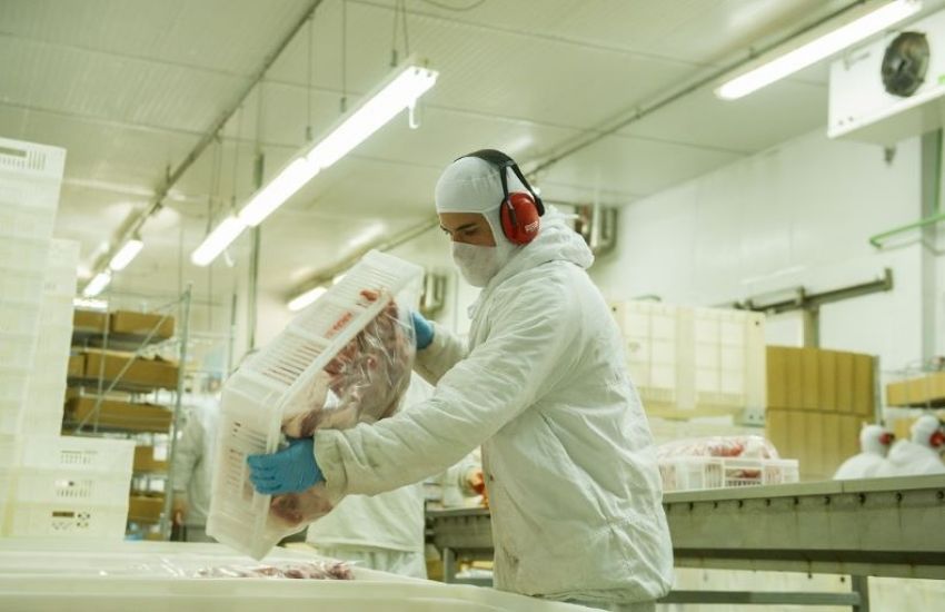Exportações de carne de frango crescem 20,9% em dezembro e setor registra recorde em 2023 