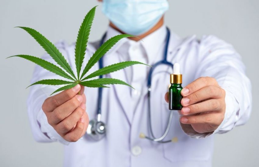 Confira como a cannabis pode auxiliar no tratamento de transtornos da saúde mental    