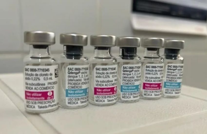 Distribuição da vacina contra a dengue começa na próxima semana   
