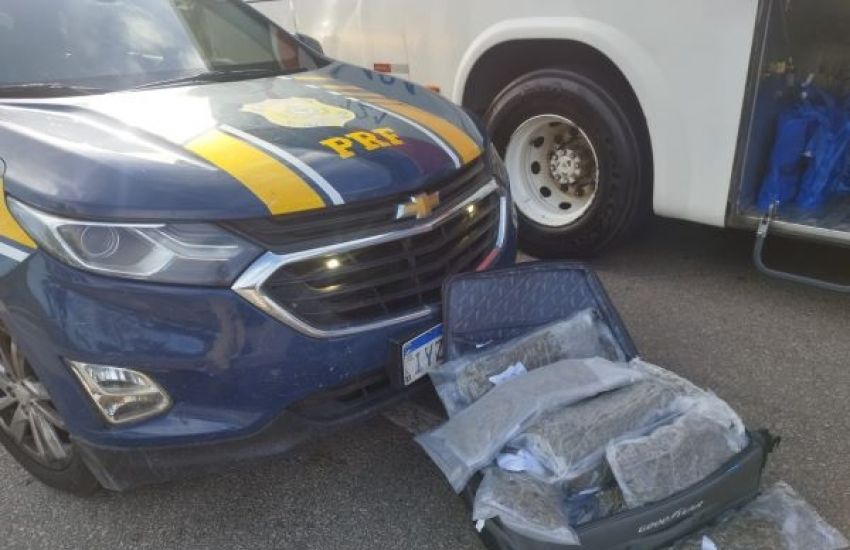 Homem é preso transportando mais de 11 kg de 'supermaconha' em ônibus intermunicipal na BR-116 