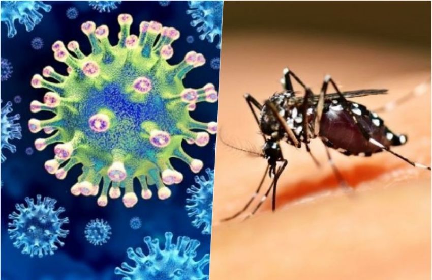 Entenda como diferenciar os sintomas de dengue e da covid-19   