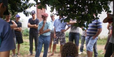 Reintrodução das abelhas Jataí em Dom Feliciano: Emater realiza trabalho de preservação e conscientização