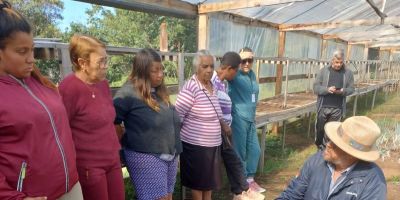 Emater/RS-Ascar inicia projeto com plantas bioativas e inclusão social em Butiá     